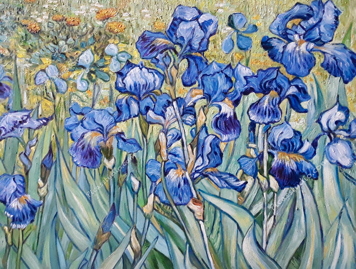Vincent van Gogh Oil Painting Irises Flowers Hand Painted Art on Canvas Wall Decor Unframed